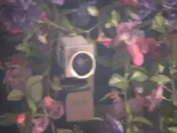 Blondierte Hausschlampe wichst den dicken Lümmel